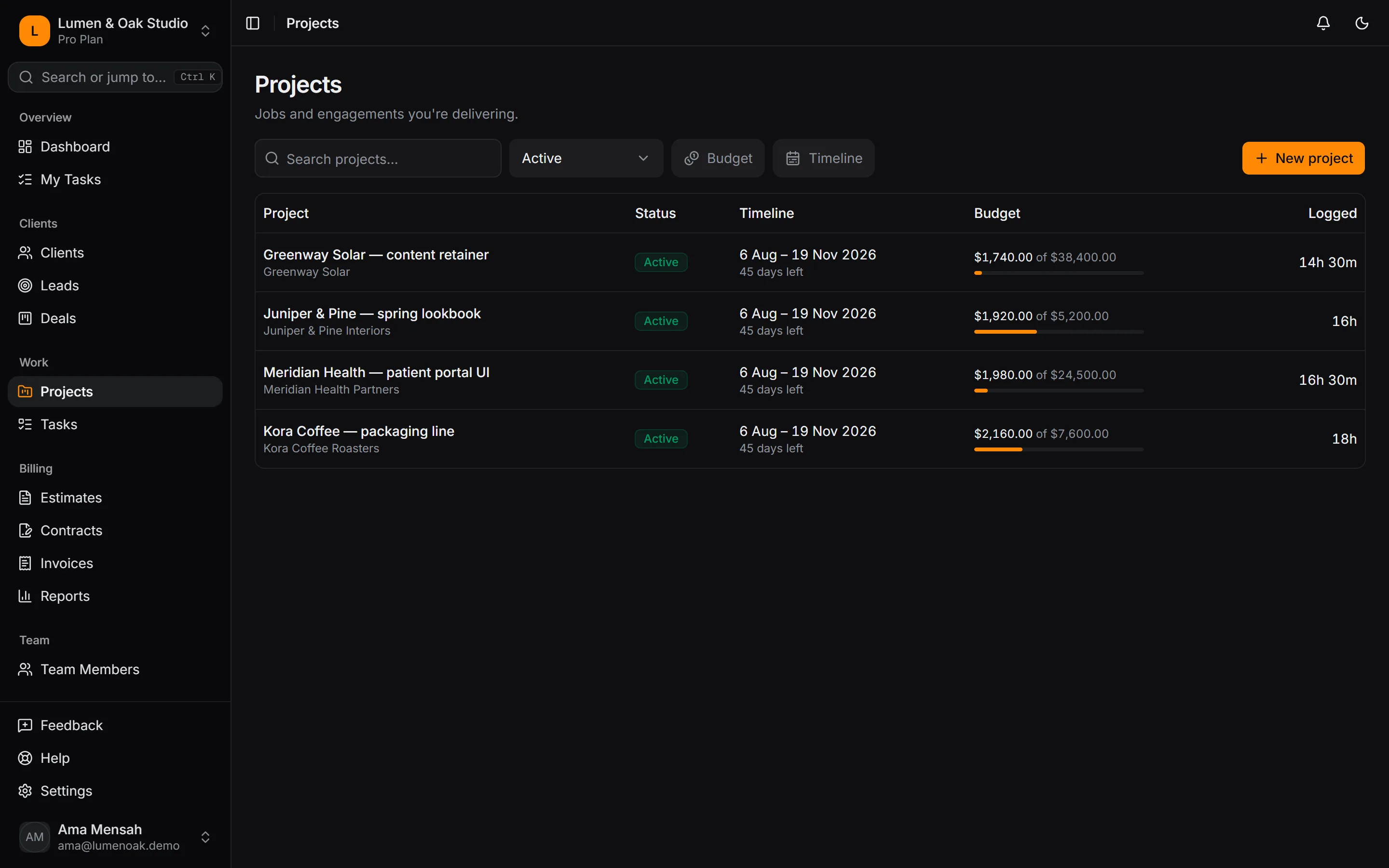 Projects list with client, status, timeline and budget burn